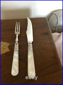 Beautiful Canteen Of 24 Mother Of Pearl Silver Plated Fruit Knives & Forks Mop
