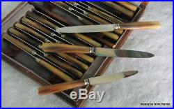 RARE SET 24 vintage French knives knifes silverplate ferrules bakelite handles