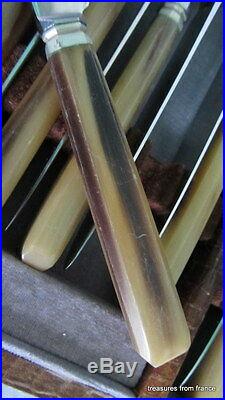 RARE SET 24 vintage French knives knifes silverplate ferrules bakelite handles