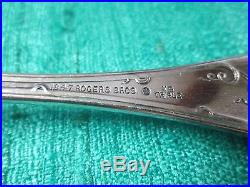 VINTAGE Grape Pierced Pea or Ice Serving Spoon Antique Silverplate Rogers 1904