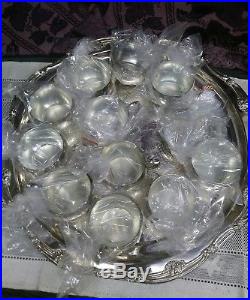 Vintage Silver Plated 15 Piece PUNCH BOWL SET 12 Cups PLATE Bowl LADLE
